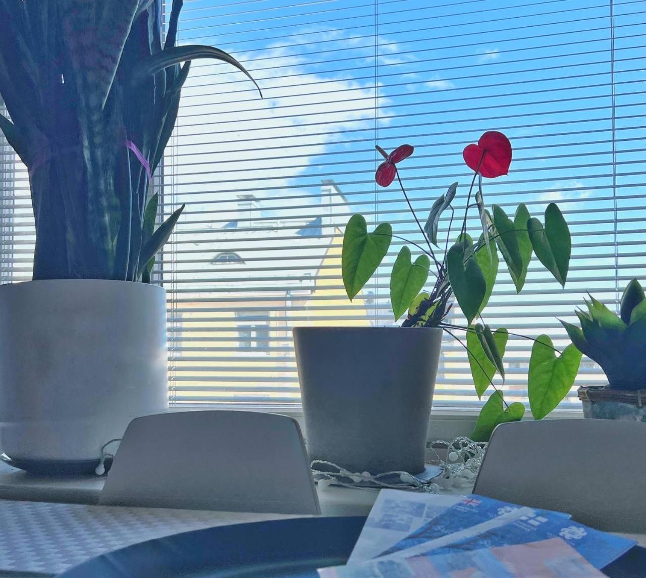 Scandinavian Desing Home 37 City Center In Kamppi Ελσίνκι Εξωτερικό φωτογραφία